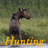 Hunting